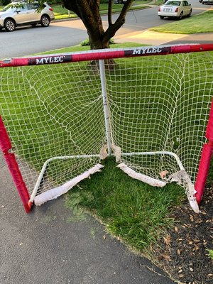 Photo of free Hockey goal (Chantilly/Herndon)