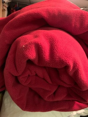 Photo of free Red fleece fabric (South Brampton)