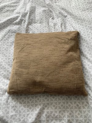 Photo of free Cushions x4 (Lanark ML11)