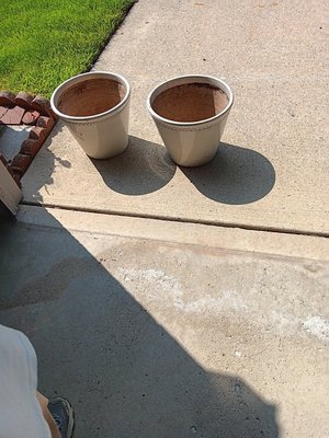 Photo of free 2 porcelain pots (northwest westland.)