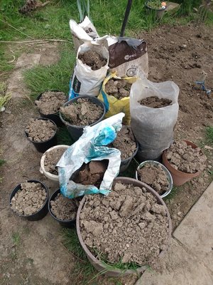 Photo of free Bags/pots of soil (Charnock S12)
