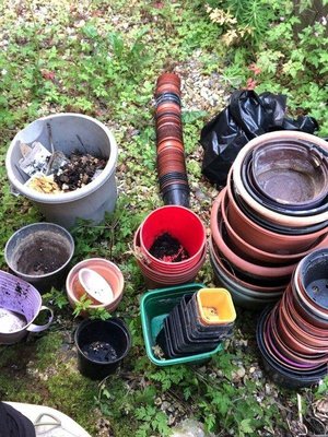 Photo of free Plant pots (Pilton BA4)