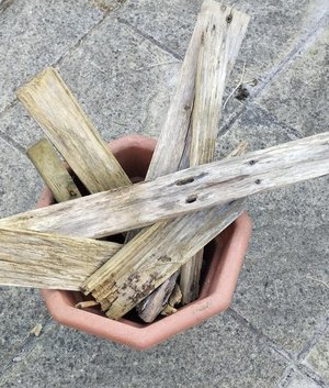Photo of free Wood for burning. (Prenton CH43)