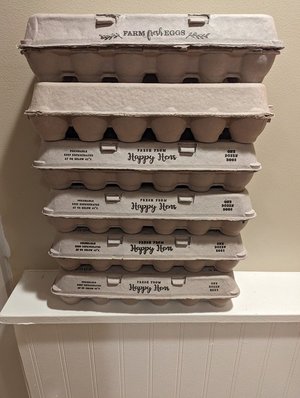 Photo of free Empty egg cartons (Lake City/Cedar Park)