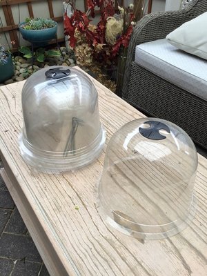 Photo of free Plastic plant cloches (Poole BH14)