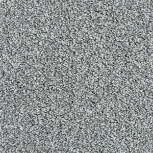 Photo of Grey carpet 1x1m (Symonds green SG1)