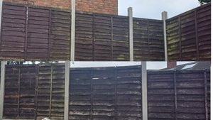 Photo of free FENCE PANELS (11 Available) (Hamstead B43)