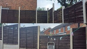 Photo of free FENCE PANELS (11 Available) (Hamstead B43)