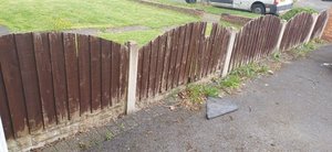 Photo of free Feather Edge DOME TOP Fence Panels (Hamstead B43)