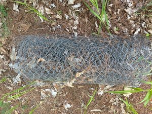 Photo of free Chicken wire (Lake within 15 min of Perth)