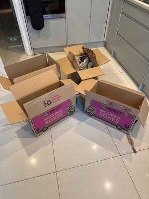 Photo of free Moving Boxes (Oval SW9)