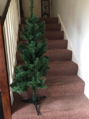 Photo of free Christmas tree etc (Downfield DD3)