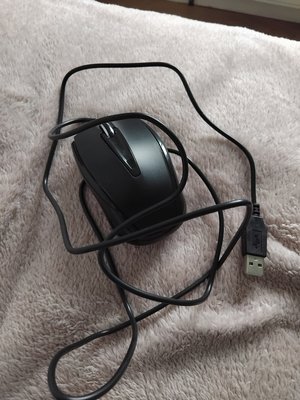 Photo of free Black mouse (Ware SG12)