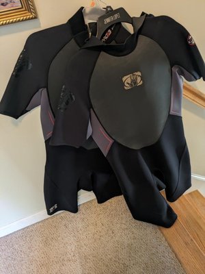 Photo of free Men's Shorty Wetsuits L & XL (Pawtucketville / Lowell)