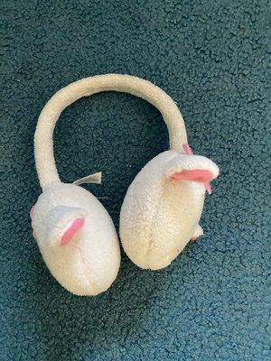 Photo of free ear muffs (Spring Hill, Somerville)