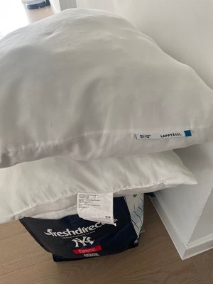 Photo of free 4 ikea pillows polyester filling (Murray Hill)