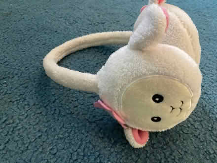 Photo of free ear muffs (Spring Hill, Somerville) #1
