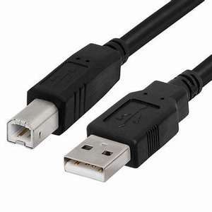 Photo of USB printer cable (West Side (32304))