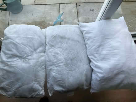 Photo of free Polyester filling (World’s End Burgess Hill) #1