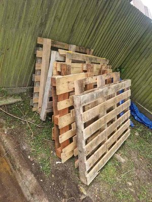 Photo of free 8 pallets (Rickmansworth WD3)