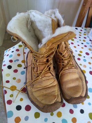 Photo of free Canadian snow boots (Withypool, Minehead)