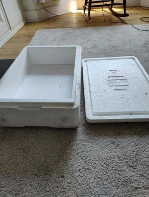 Photo of free Polystyrene box with lid (E17 Walthamstow)
