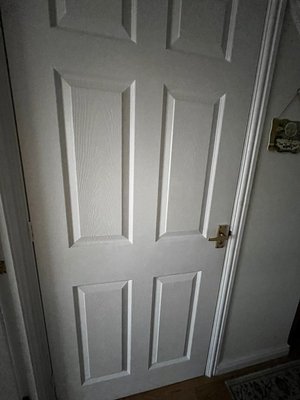 Photo of free 2 x internal white panel doors (Bishop Auckland)