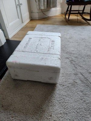 Photo of free Polystyrene box with lid (E17 Walthamstow)