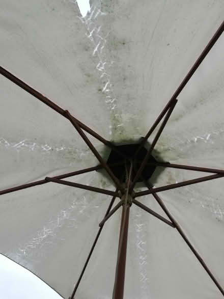 Photo of free Garden parasol - some damage - see pics (Newall LS21) #2