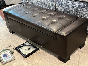Photo of free Storage Bench (Irving park gso)