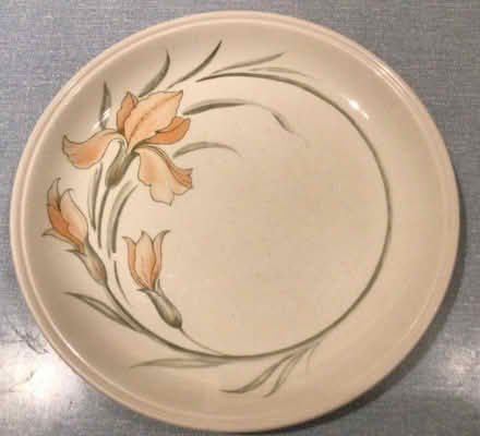 Photo of Plates (Comeytrowe CP TA1) #1