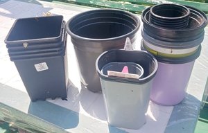 Photo of free plastic planter pots (Islington Ave & Lakeshore Blvd)
