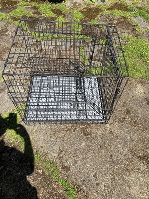 Photo of free Pet cage (Shepperton tw)