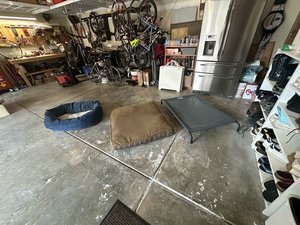 Photo of free Dog Beds and Hamock (Barbee Mill)