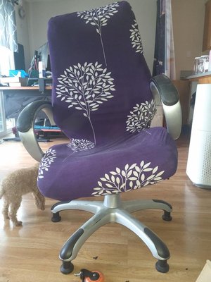 Photo of free Ergonimic Office chair (MT. Tabor)