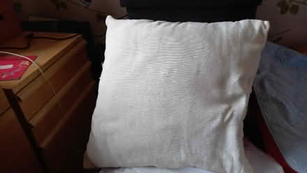 Photo of free Pair of cream cushions (Lea Industrial Estate AL5)
