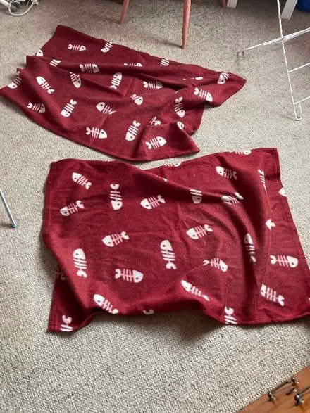 Photo of free 2 fleece pet blankets- covered in cat hair that won’t wash o (Clifton YO30)