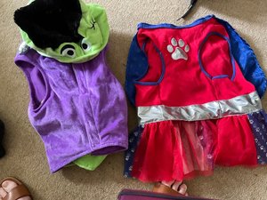 Photo of free Dog outfits (Colletts Green WR2)