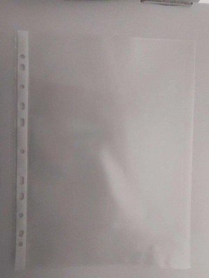 Photo of free 100 Clear A4 Multi-Punched Pockets (East Grinstead town centre)