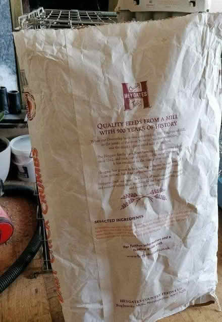 Photo of free Paper sacks x 20 (Great Sutton CH66) #2