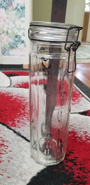 Photo of free Tall glass container (Barron Park)