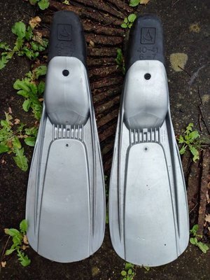 Photo of free Pair of Flippers, size 6-7 (Bishopston BS7)