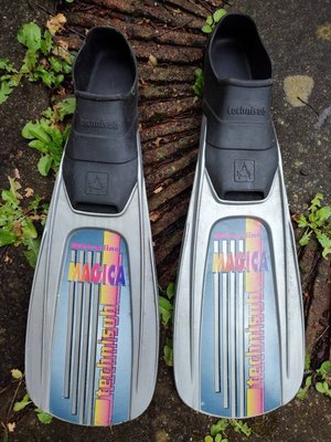 Photo of free Pair of Flippers, size 6-7 (Bishopston BS7)