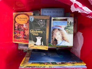 Photo of free Box of children’s books (Kirkby In Ashfield NG17)