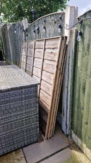 Photo of free 6'x5' fence panels (Alverthorpe WF2)