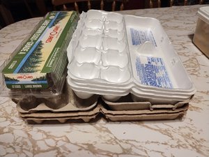 Photo of free 8 egg cartons to go (South Denton)
