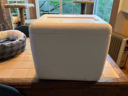 Photo of free Three Styrofoam coolers (Lake Forest Park) #1