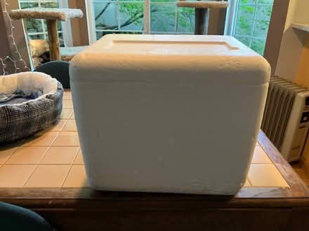 Photo of free Three Styrofoam coolers (Lake Forest Park) #1