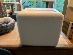 Photo of free Two Styrofoam coolers (Lake Forest Park)