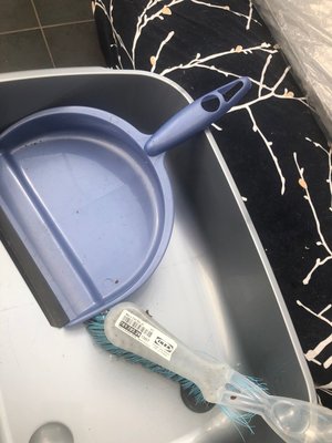Photo of free Feather duster and dustpan & brush (G14)